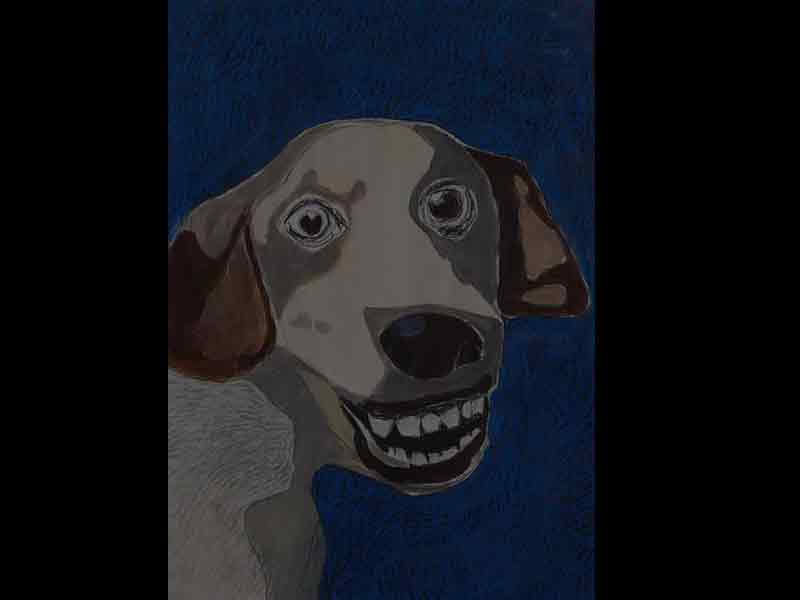 dog